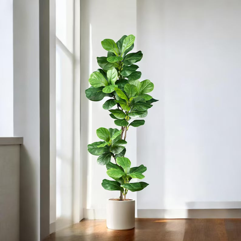 Artificial Ficus Tree