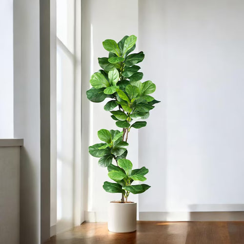 Artificial Ficus Tree